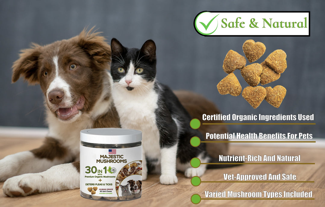 Majestic Mushrooms™ - 7 Organic Super Mushrooms: The Ultimate Supplement For Dogs