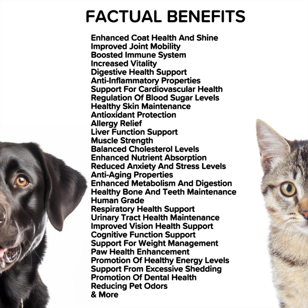 Majestic Mushrooms™ - 7 Organic Super Mushrooms: The Ultimate Supplement For Dogs
