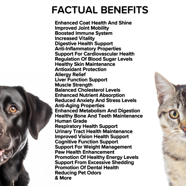 Majestic Mushrooms™ - 7 Organic Super Mushrooms: The Ultimate Supplement For Dogs