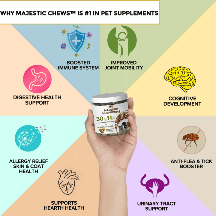 Majestic Mushrooms™ - 7 Organic Super Mushrooms: The Ultimate Supplement For Dogs