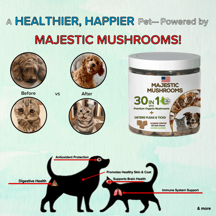 Majestic Mushrooms™ - 7 Organic Super Mushrooms: The Ultimate Supplement For Dogs