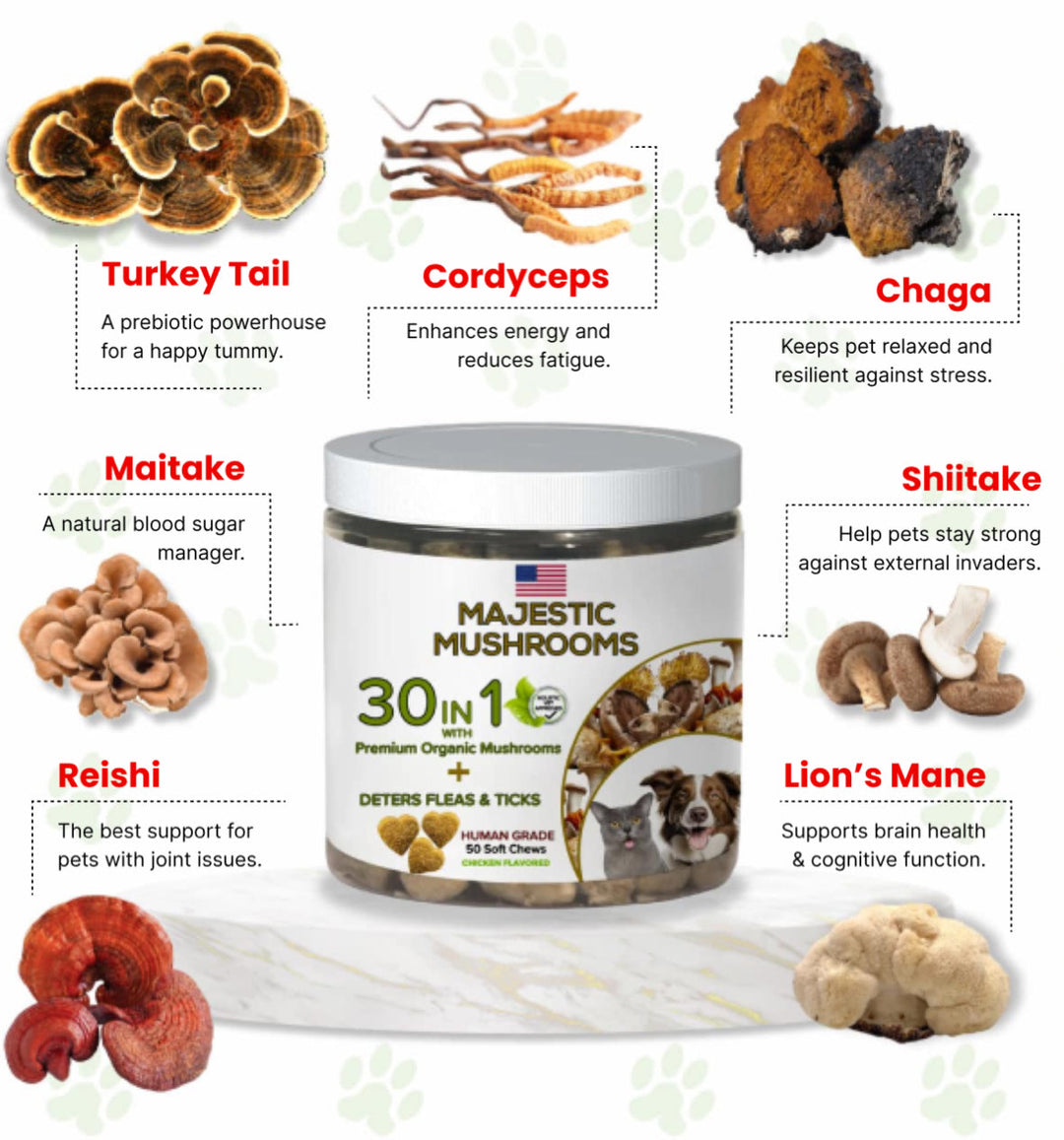 Majestic Mushrooms™ - 7 Organic Super Mushrooms: The Ultimate Supplement For Dogs